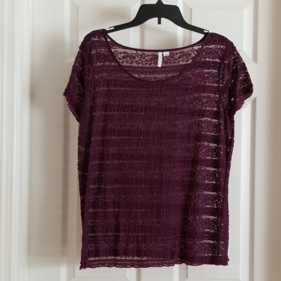 Violet Sheer Lace Top - Picture 1 of 5